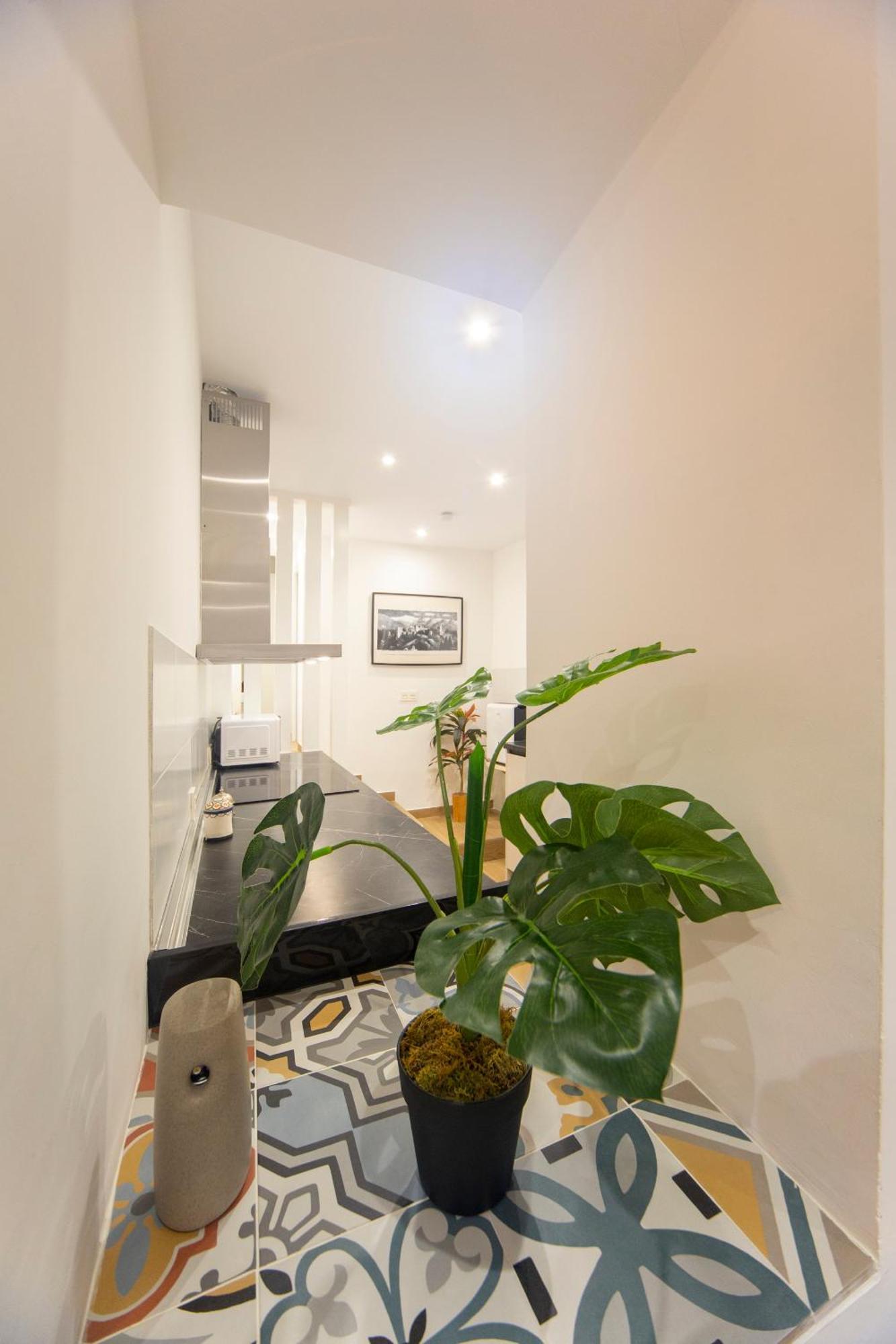Apartamentos Indalo A Los Pies Del Albaicin グラナダ エクステリア 写真